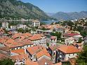 Kotor (35)